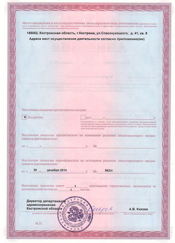 лицензия лицевая сторона